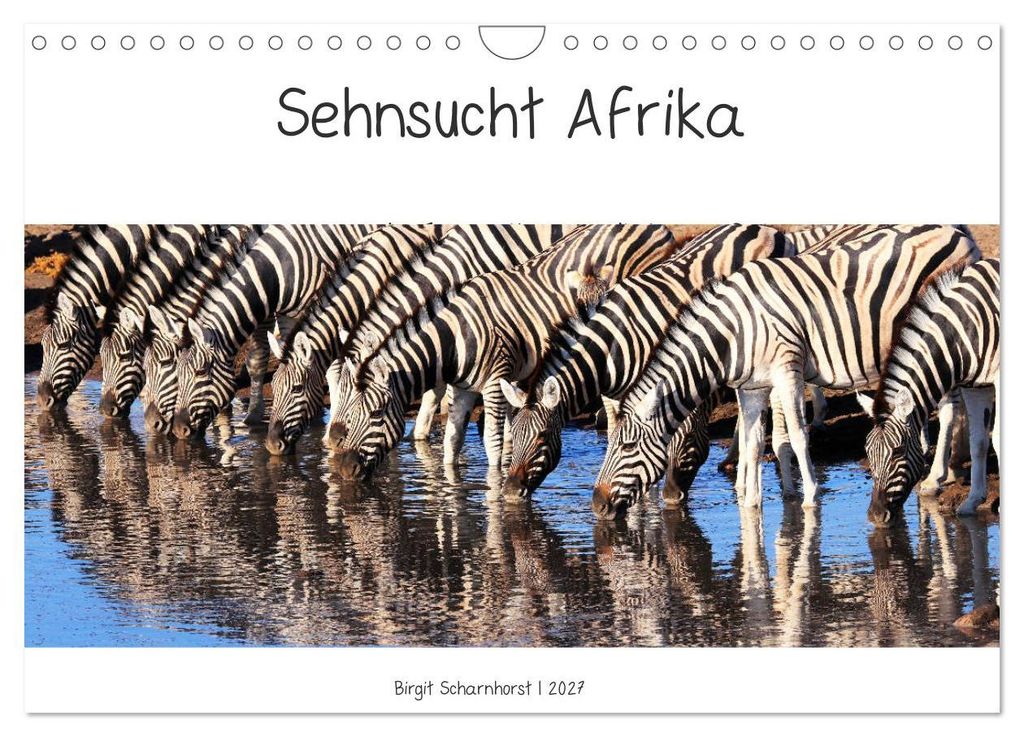 Sehnsucht Afrika - Faszinierende Tierwelt im südlichen Afrika (Wandkalender 2027 DIN A4 quer), CALVENDO Monatskalender
