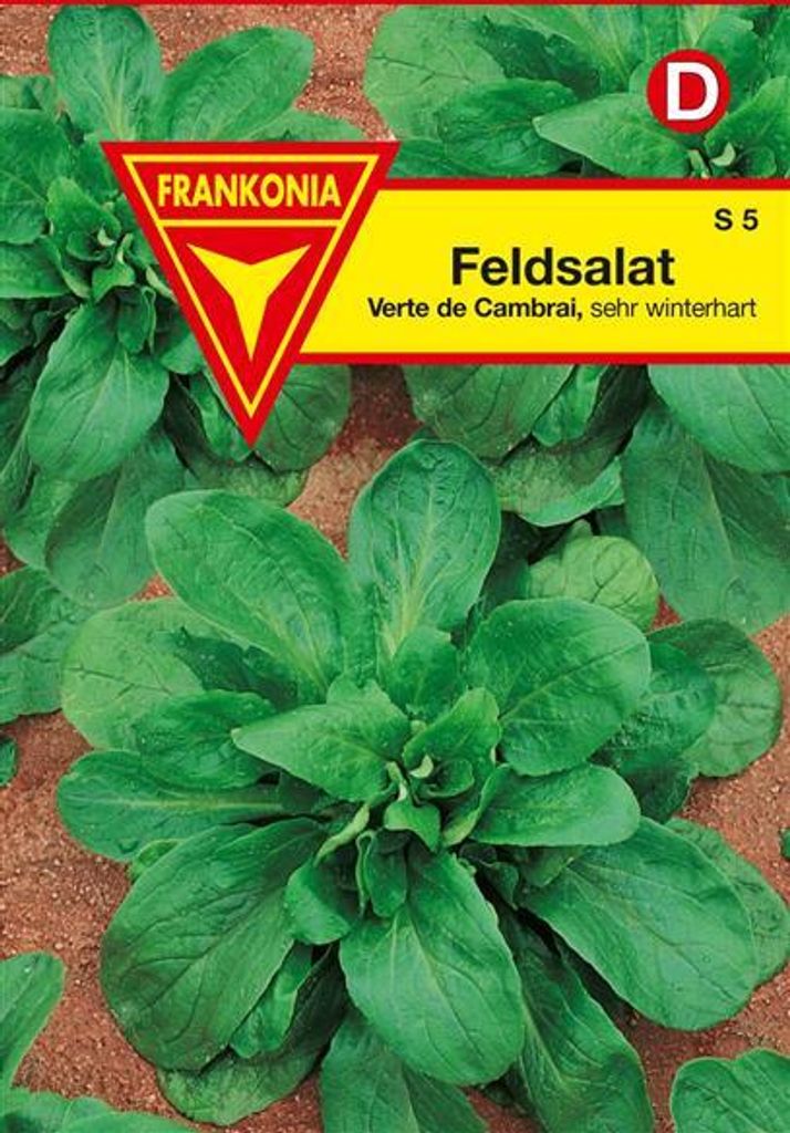 Feldsalat Verte de Cambrai