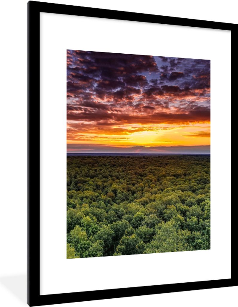MuchoWow Gerahmtes Poster Wald - Nacht - Himmel - Horizont - Bäume 60x80 cm - Poster mit Schwarzem Bilderrahmen Wandposter Rahmen Foto Bilder - ...