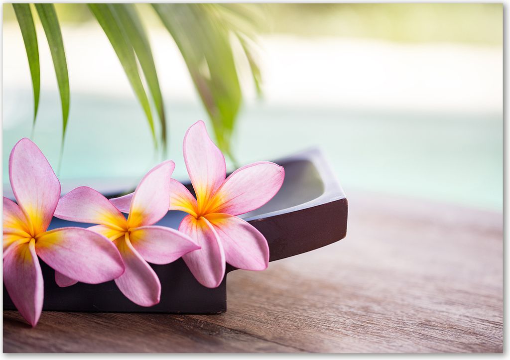 Tulup Glas-Bild - 100 x 70 - Wandbild aus Glas - Wandkunst - Wandbild hinter gehärtetem Sicherheitsglas - Blumen & Pflanzen - Plumeria - Rosa