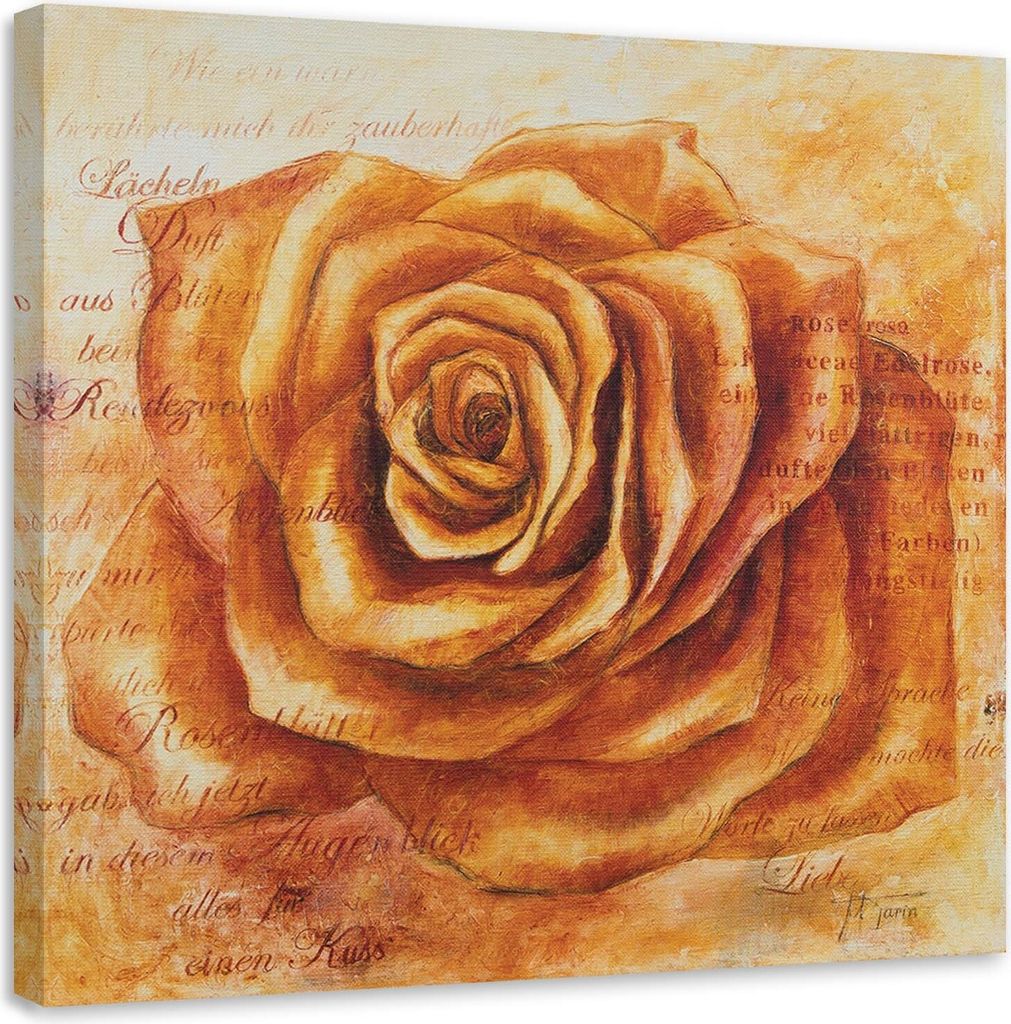 Leinwandbild oranger rosenkopf 40x40 cm Feeby orange wandbild bereit zum aufhängen