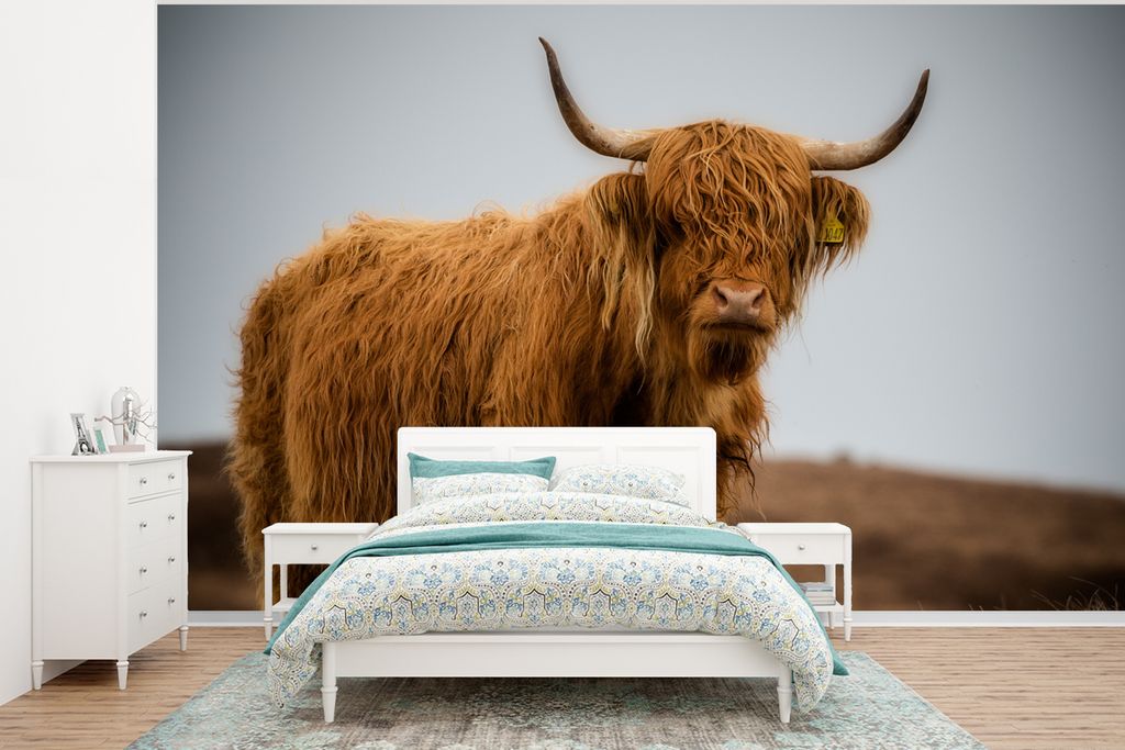 MuchoWow Fototapete für Wohnzimmer oder Schlafzimmer Wandtapete Vinyl Motivtapete Schottischer Highlander - Düne - Gras - 375x280 cm - Schlafzi...