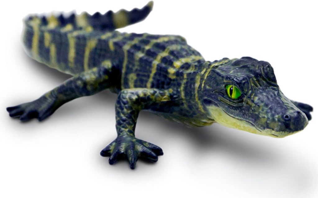 Safari Ltd S101073 - Alligator Baby (Neuheit 2022)