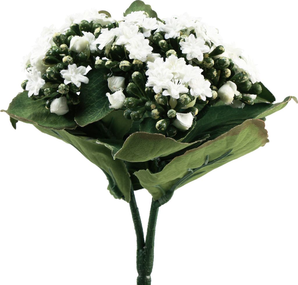 Kalanchoe künstlich Flammendes Käthchen Weiß 24cm Produktbild 