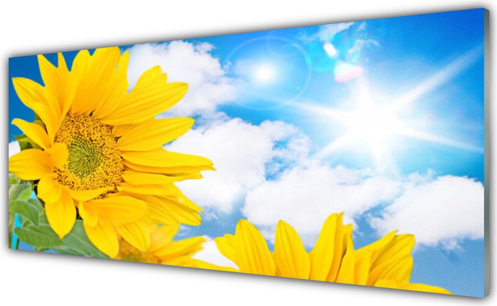 Glasbilder 125x50 Wandbild Druck auf Glas Blumen Pflanzen