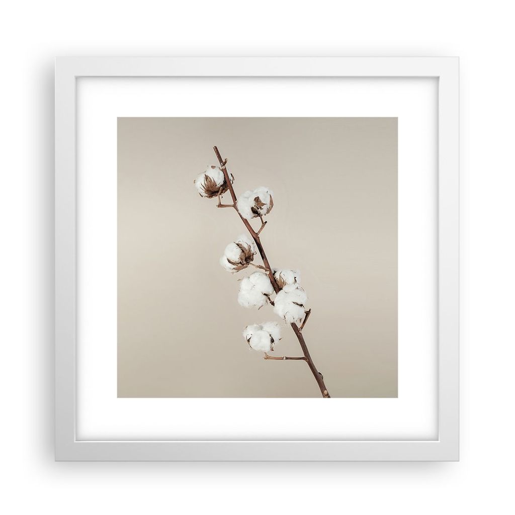 Gerahmtes Poster - Weißer Rahmen - Baumwolle Zweig Boho - 30x30 cm - Wand Bild - Wanddeko - Wandbilder - Kunstposter - Wandposter - Bilderrahmen -...