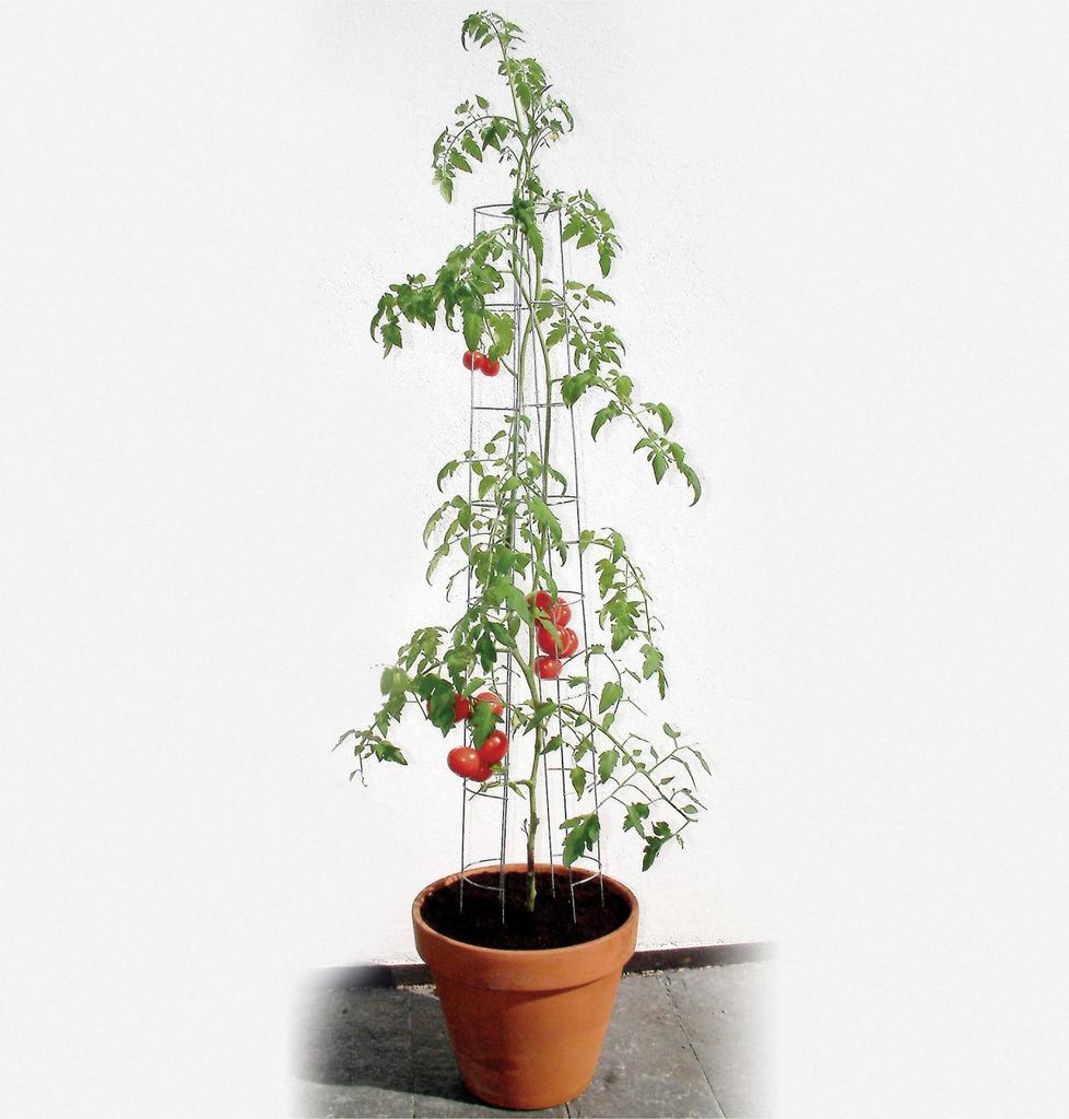 Bellissa Tomatenturm 120cm 120 cm hoch Produktbild 