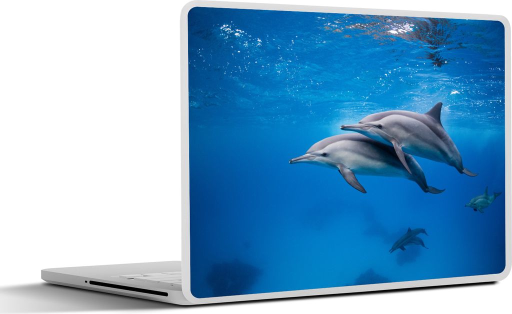 MuchoWow Laptop Aufkleber Sticker Cover Delfin - Meer - Ägypten 32.5x23.5 cm - Sticker für Laptop - Selbstklebend