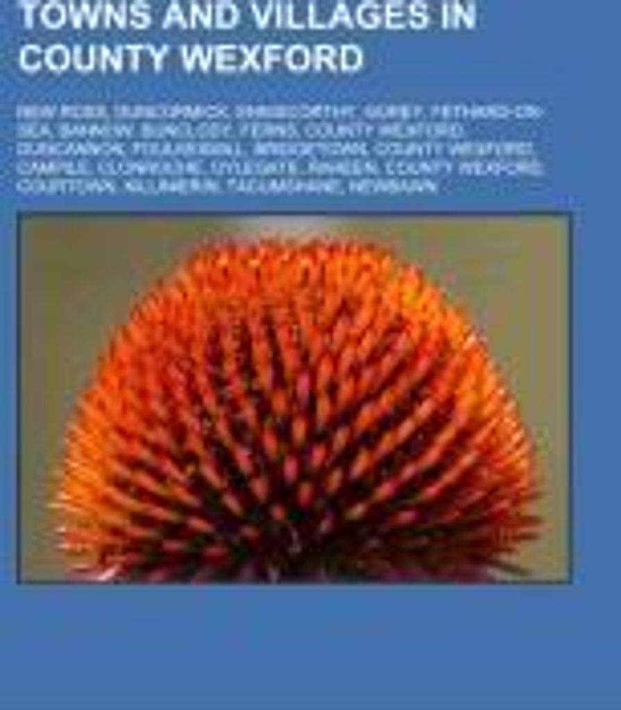 Towns and villages in County Wexford