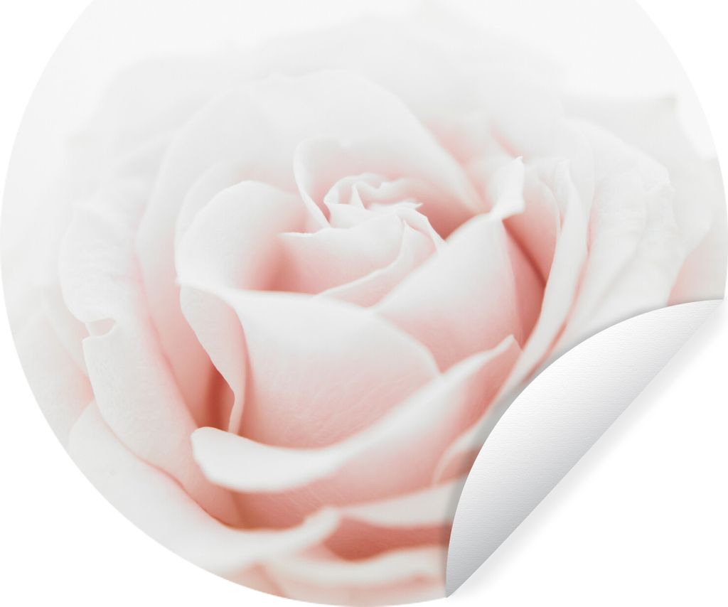 MuchoWow Runde Wandtattoo - Wandsticker Tapete Aufkleber Nahaufnahme der Blätter einer rosa Rose Ø 80 cm Selbstklebend und Repositionierbar - W...