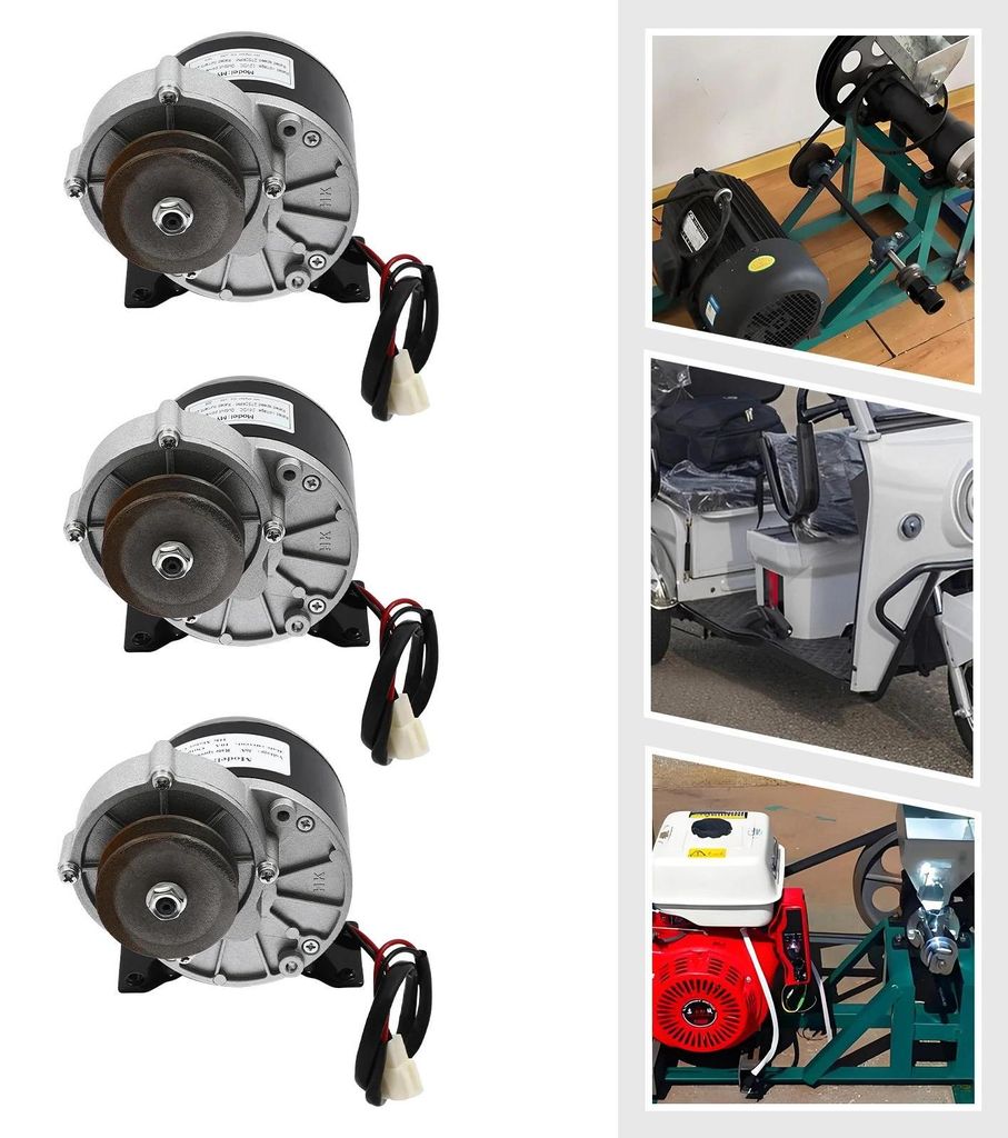 Bürsten-Gleichstrom-Getriebemotor - MY1016Z - 24V 250W - Mit Riemenscheibe - Ausgang 0–300 U/min - Motor 2750 U/min - Für Scooter