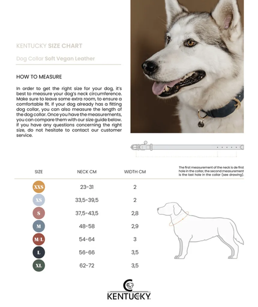 Collare per cani Kentucky in pelle vegana - 3