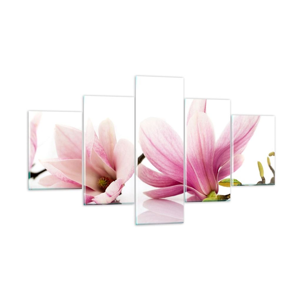 Bilder auf glas - Magnolie blume natur pflanze - 125x70cm - Glasbilder - Wandbilder - Kunstdruck - zum Aufhängen bereit - Wanddekoration aus Glas ...