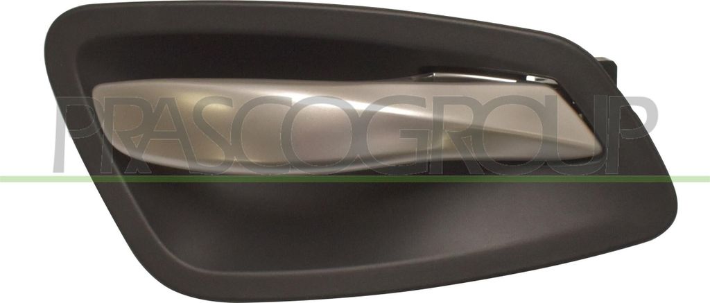PRASCO BM0248402 Türgriff Innen Vorne Links für BMW 3 Touring (E91)