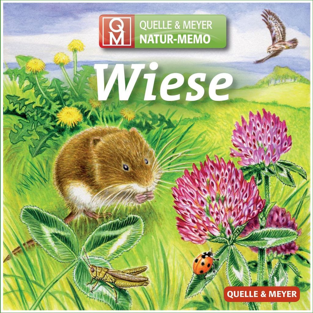 Natur-Memo-Spiel 'Wiese' – 64 Spielkarten, illustriert von Roland Spohn