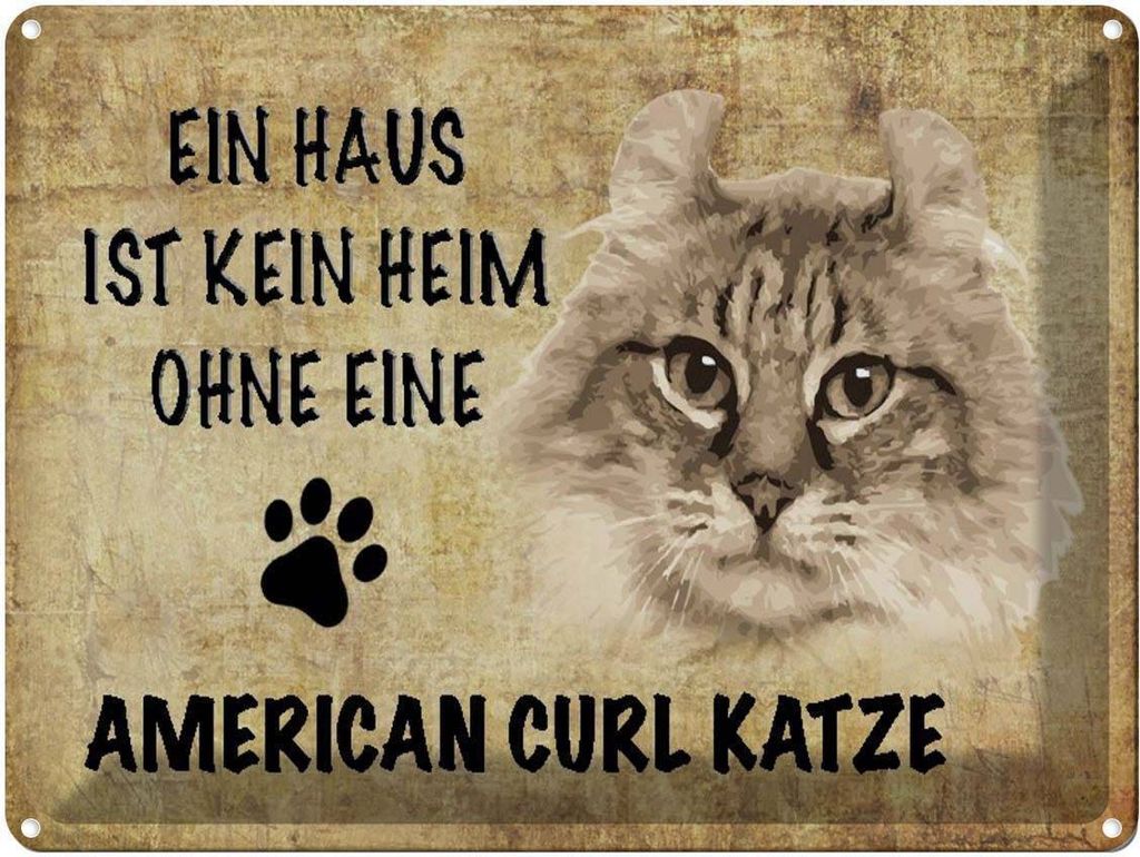 vianmo Blechschild 30x40 cm American Curl Katze