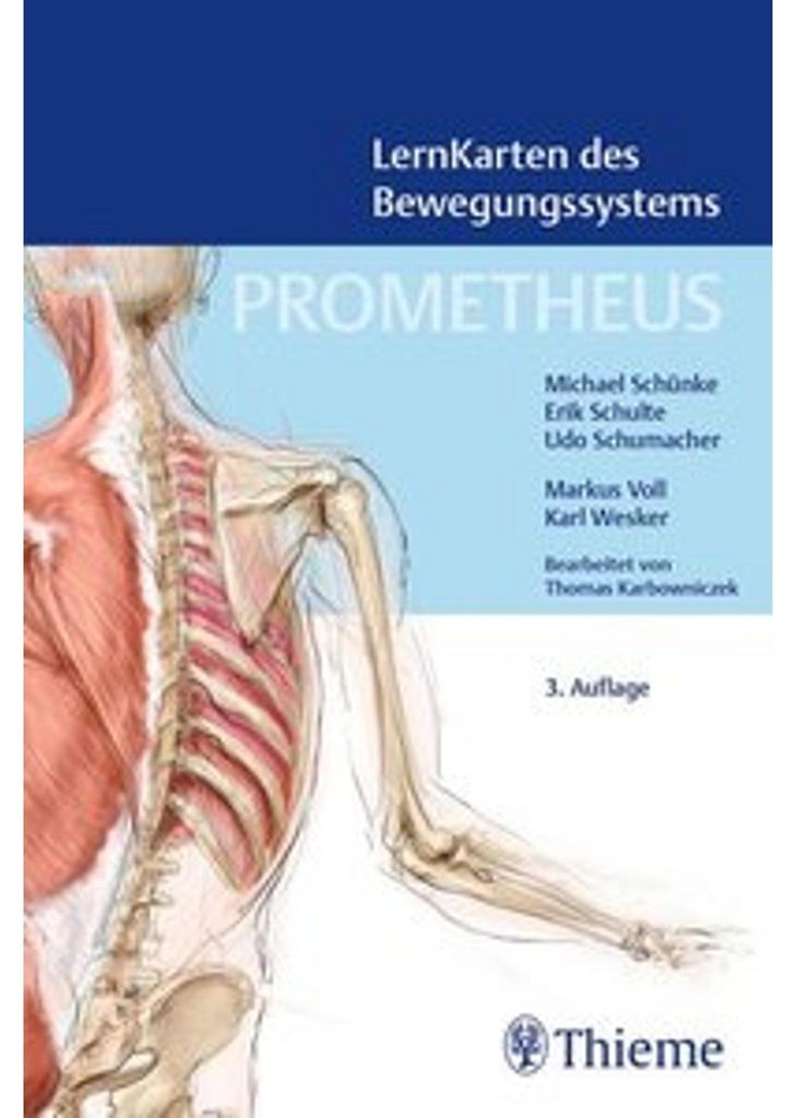 PROMETHEUS LernKarten des Bewegungssystems Produktbild 