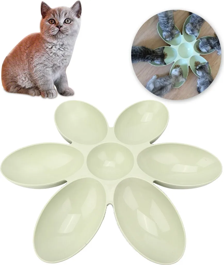 Gamelle PP Robuste Design Fleur - Anti-Dérapant Vert Chien Chat