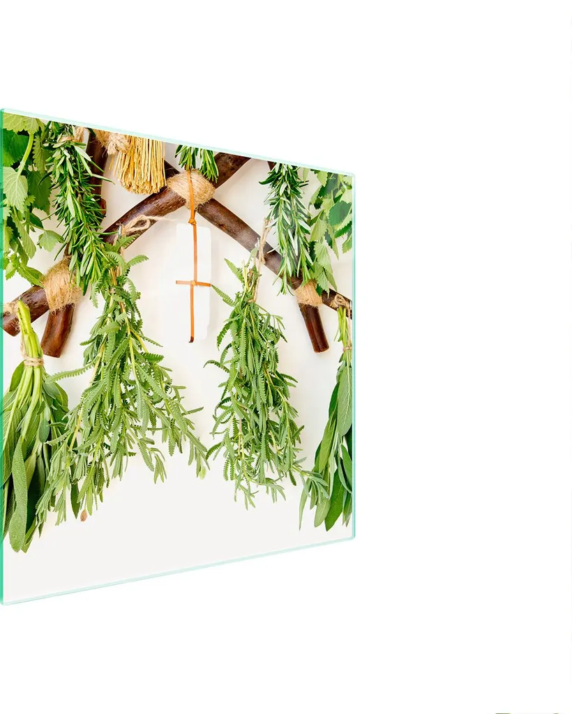 Offerta Piastra Vetro Cucina 50x52 Erbe | Protezione e Stile Garantito