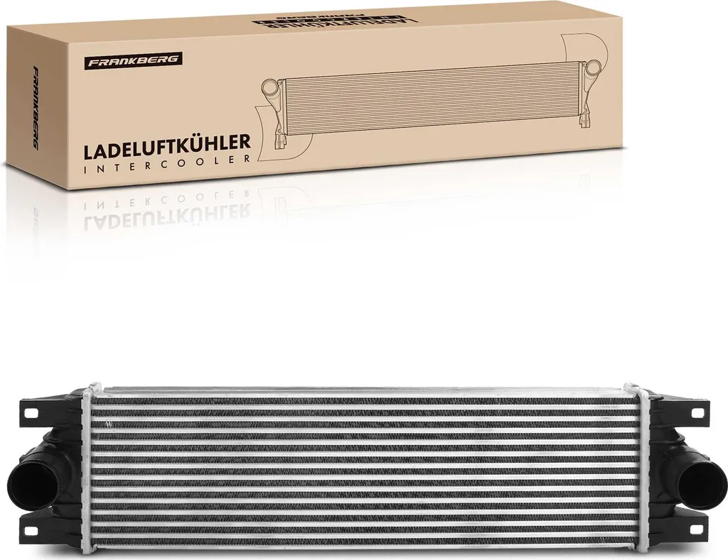 Refroidisseur d'air Frankberg pour Renault Mascott 1999-2002 2.8L