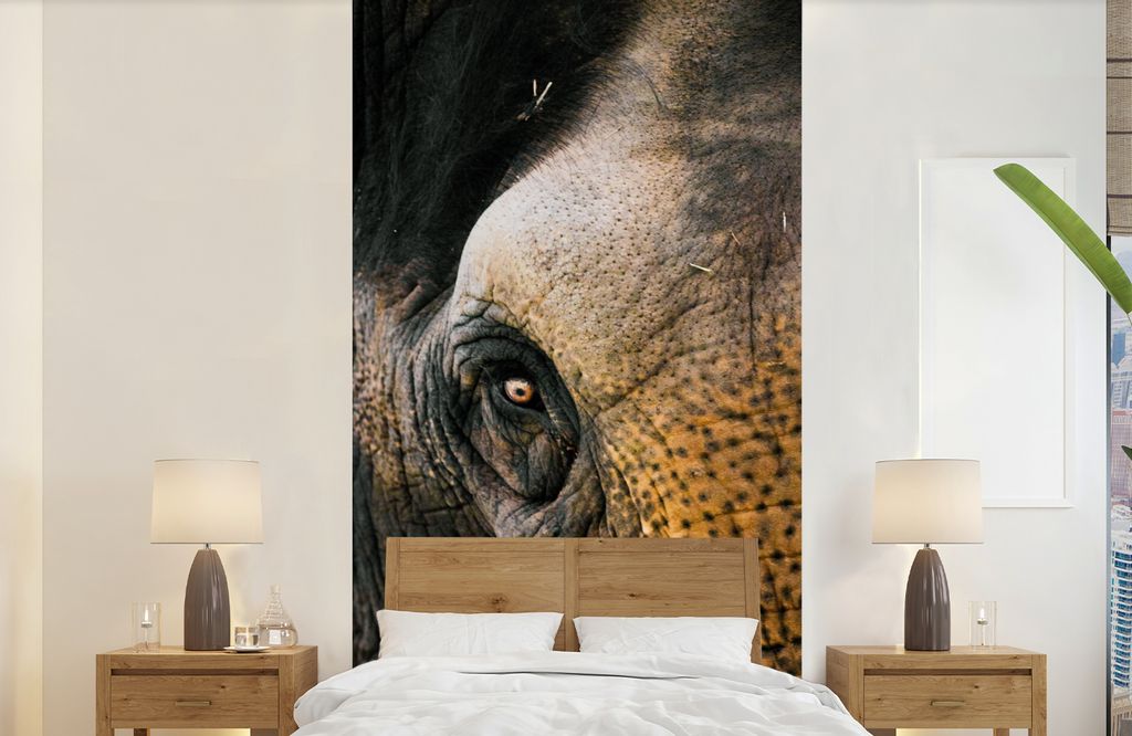 MuchoWow Fototapete für Wohnzimmer oder Schlafzimmer Wandtapete Vinyl Motivtapete Nahaufnahme eines Elefantenauges - 120x240 cm - Hintergrundbild