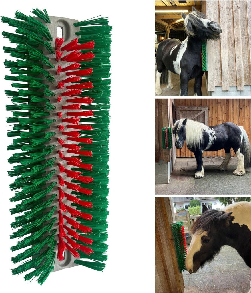 Halbrunde Kratzbürste für Rinder & Kälber, Pferde, Ziegen, grün-rot