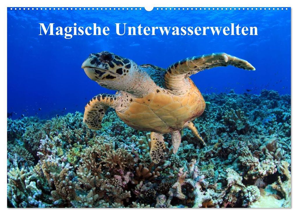 Magische Unterwasserwelten (Wandkalender 2027 DIN A2 quer), CALVENDO Monatskalender