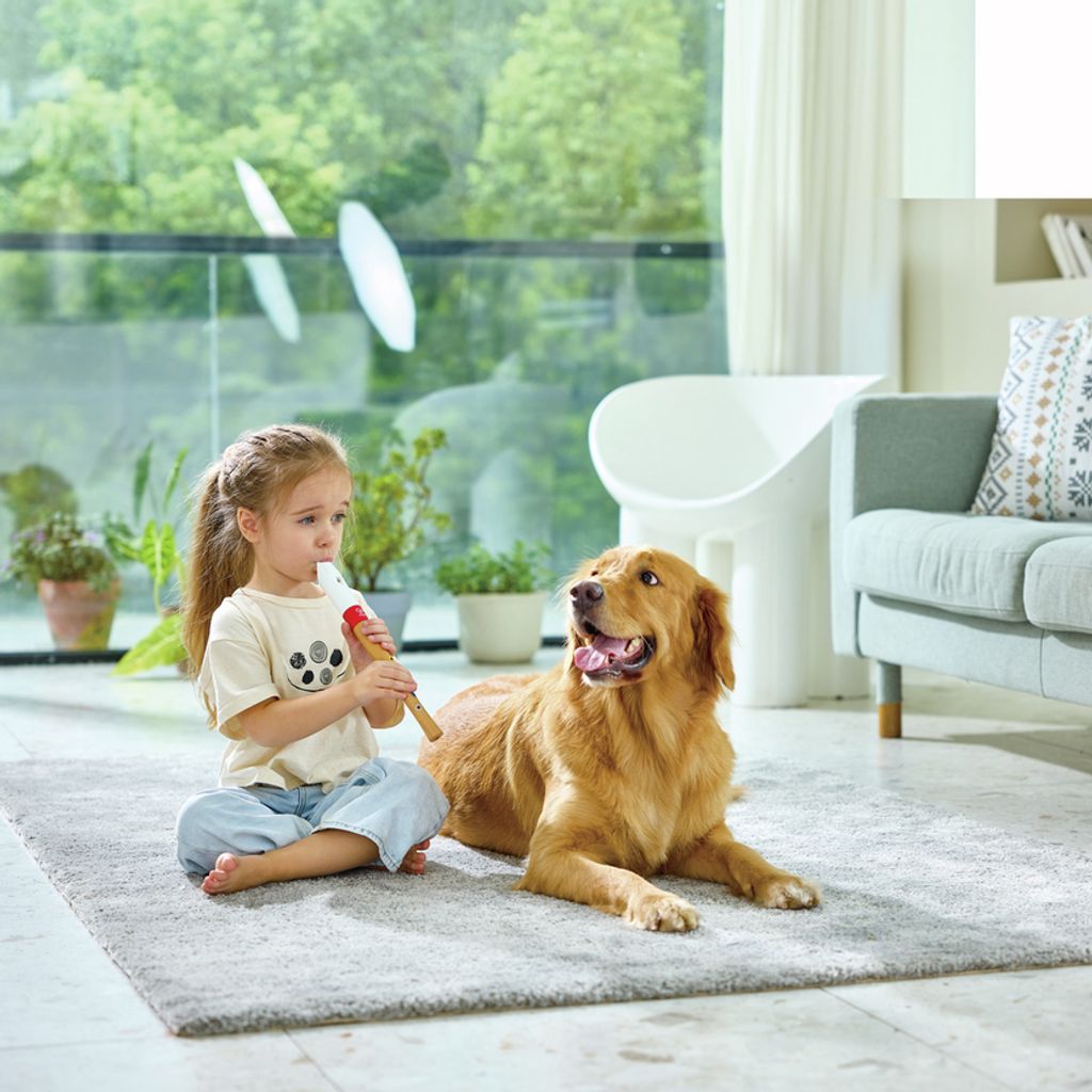 Hape Blockflöte für Musikbeginner Produktbild 3