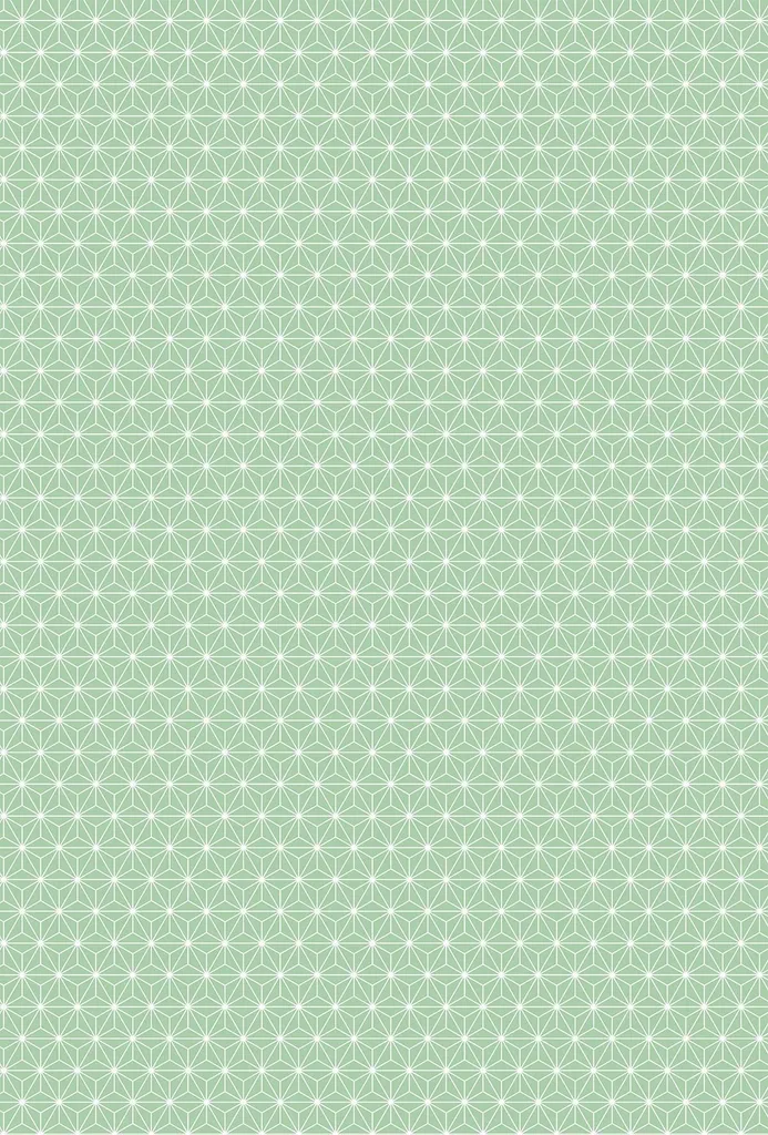 Heyda 204776449 Carton Design Starlight A4 21x31cm avec Bande de Codage