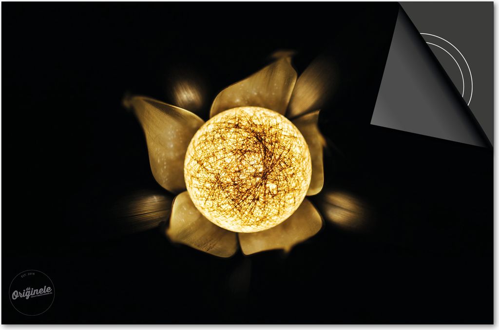 Induktionsschutz 81x52 - abdeckplatte Induktion matt- Dietrix Kochfeldschutz- Exklusive - Schwarz und Gold - Blume bol Gold