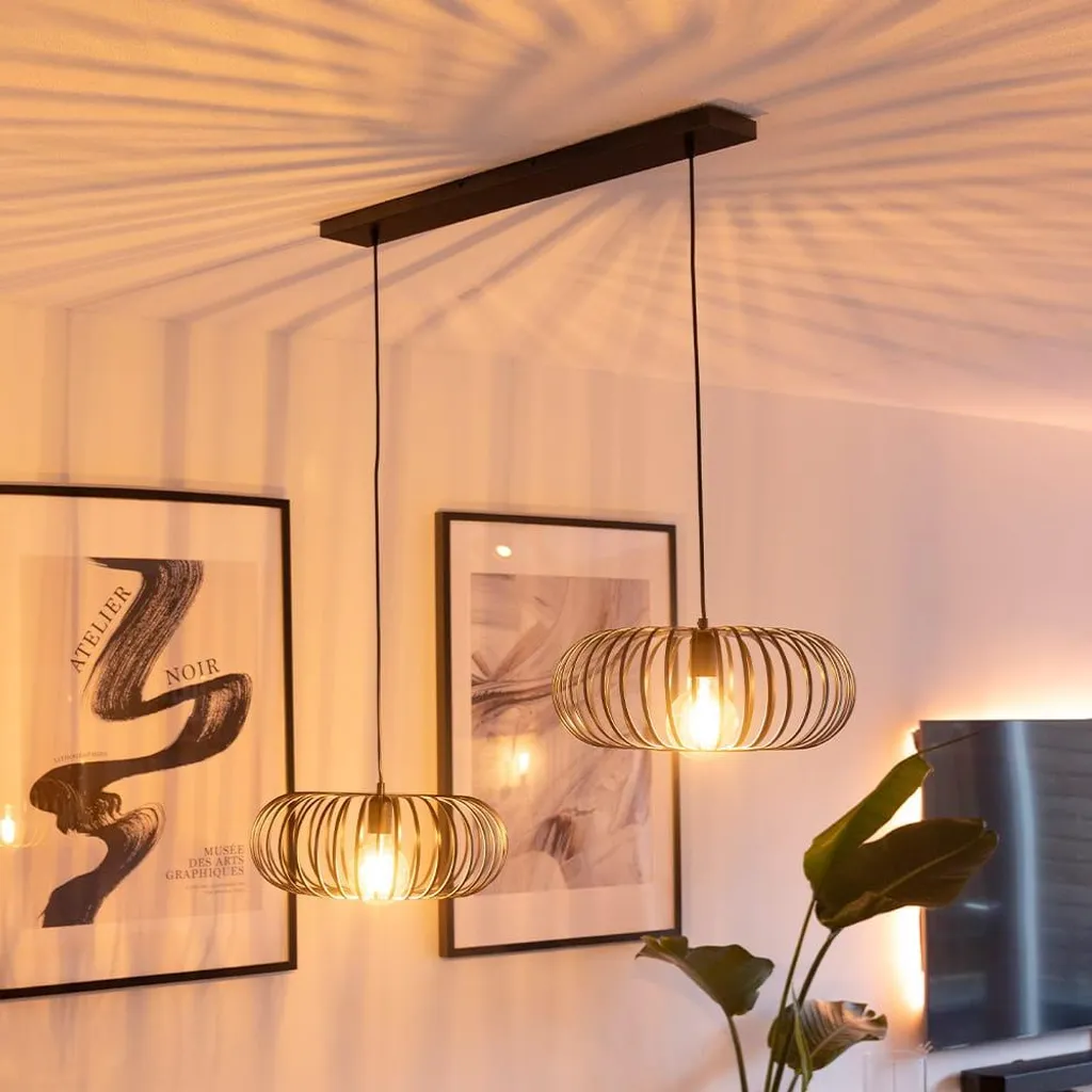 Suspension LED 60W E27 Dimmable Noire - 2 Spots Design Hoftronic