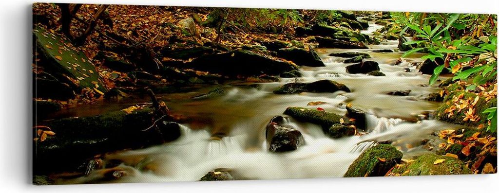 Bild auf Leinwand - Leinwandbild - Bäume Strom Felsen - 90x30cm - Wand Bild - Wanddeko - Wandbilder - Leinwanddruck - Bilder - Kunstdruck - Wandde...