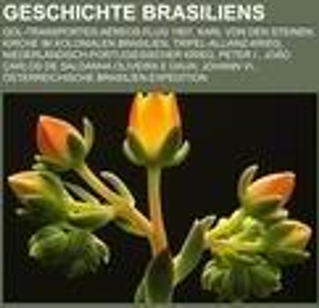 Geschichte Brasiliens