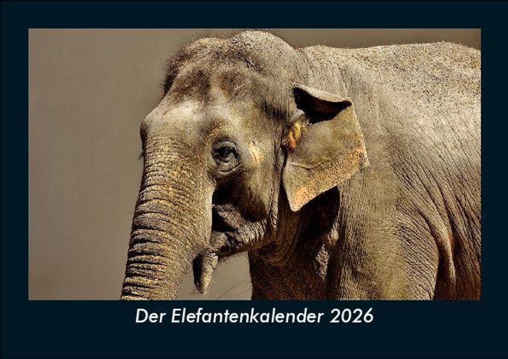 Der Elefantenkalender 2026 Fotokalender - Querformat DIN A5, Monatskalender mit Bild-Motiven von Haustieren, Bauernhof, wilden Tieren und Raubtieren