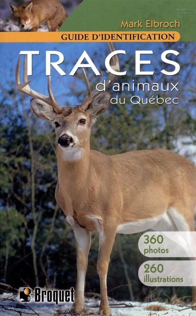 Identifier les traces d'animaux du Québec lors de vos randonnées pro