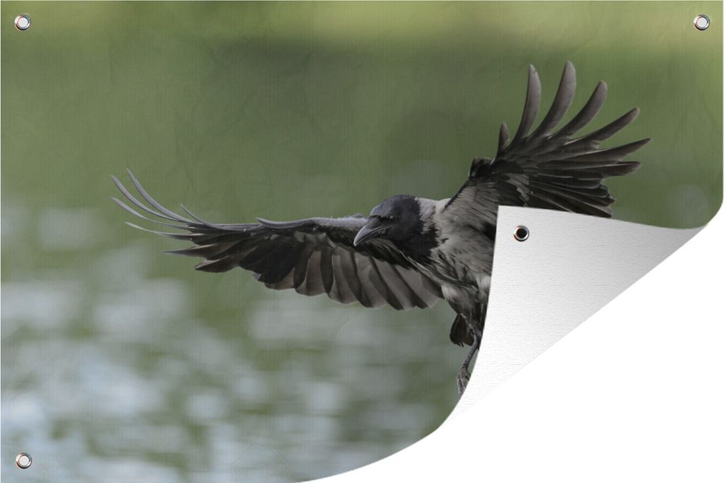 MuchoWow 60x40 cm Outdoor-Poster Gartendeko Sichtschutz Garten Poster für den Garten Vogel - Krähe - Wasser