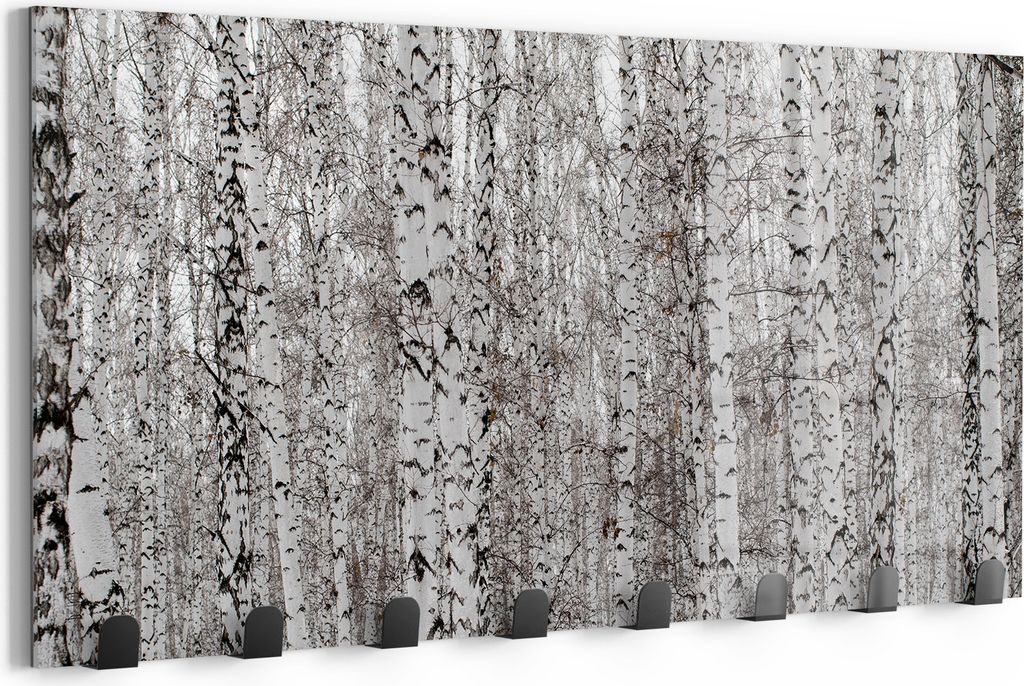 DEQORI Kleiderhaken Glas 60x30 cm 'Birkengeheimnis' Wand Garderobe beschreibbar Paneel