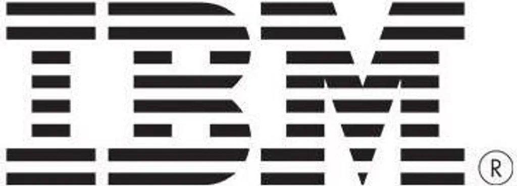 Maintenance IBM DS4700 : Batterie de Remplacement 41Y0679 pour BBU