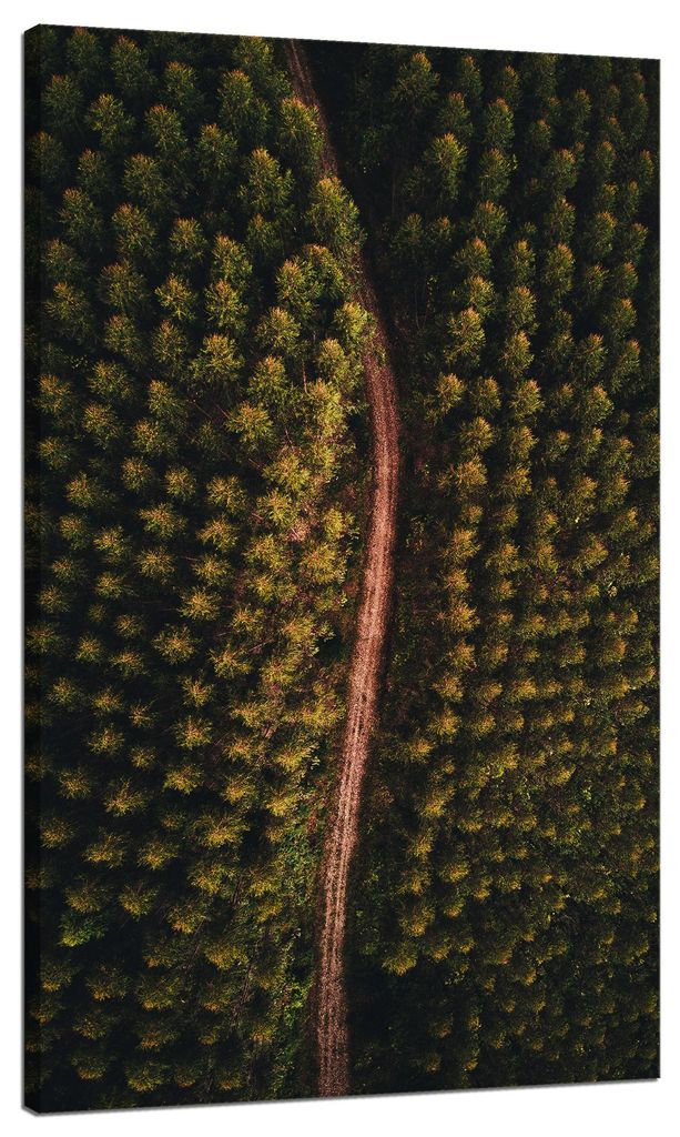 Leinwanddruck „Naturstraße aus der Vogelperspektive“, 70 x 120