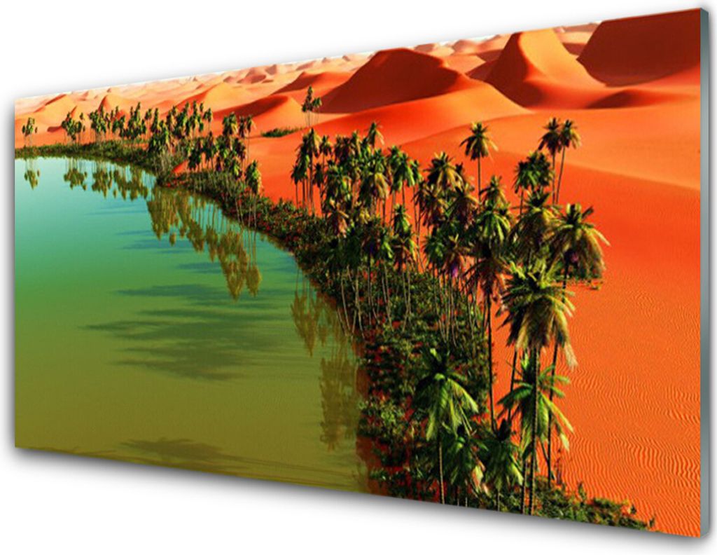 Küchenrückwand aus Glas 100x50cm Spritzschutz Bucht Bäume Wüste Landschaft