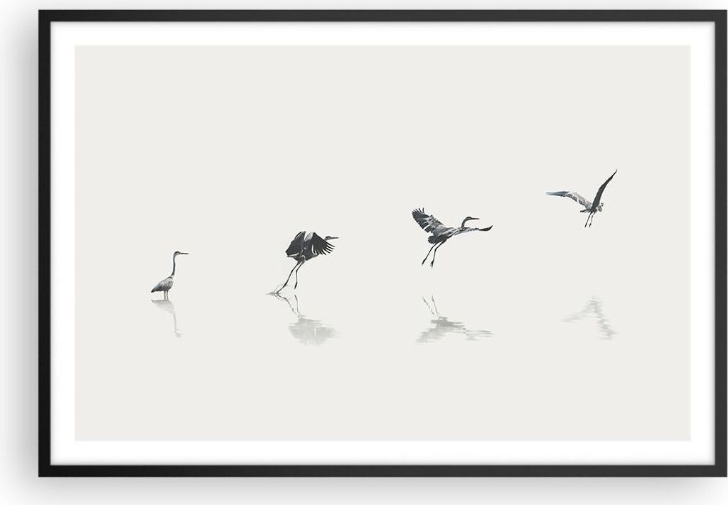 Gerahmtes Poster - Schwarzer Rahmen - Flug Vogel Reiher - 91,5x61 cm - Wand Bild - Wanddeko - Wandbilder - Kunstposter - Wandposter - Bilderrahmen ...
