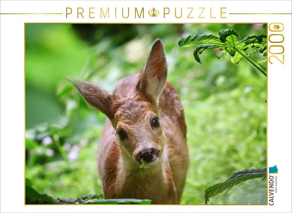 CALVENDO Puzzle Sanftes Rehkitz 2000 Teile Puzzle quer | Produktbild 