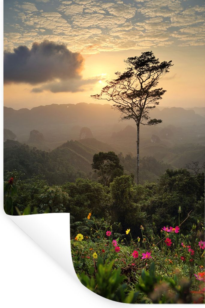 MuchoWow - Wierderverwendbar - Selbstklebend