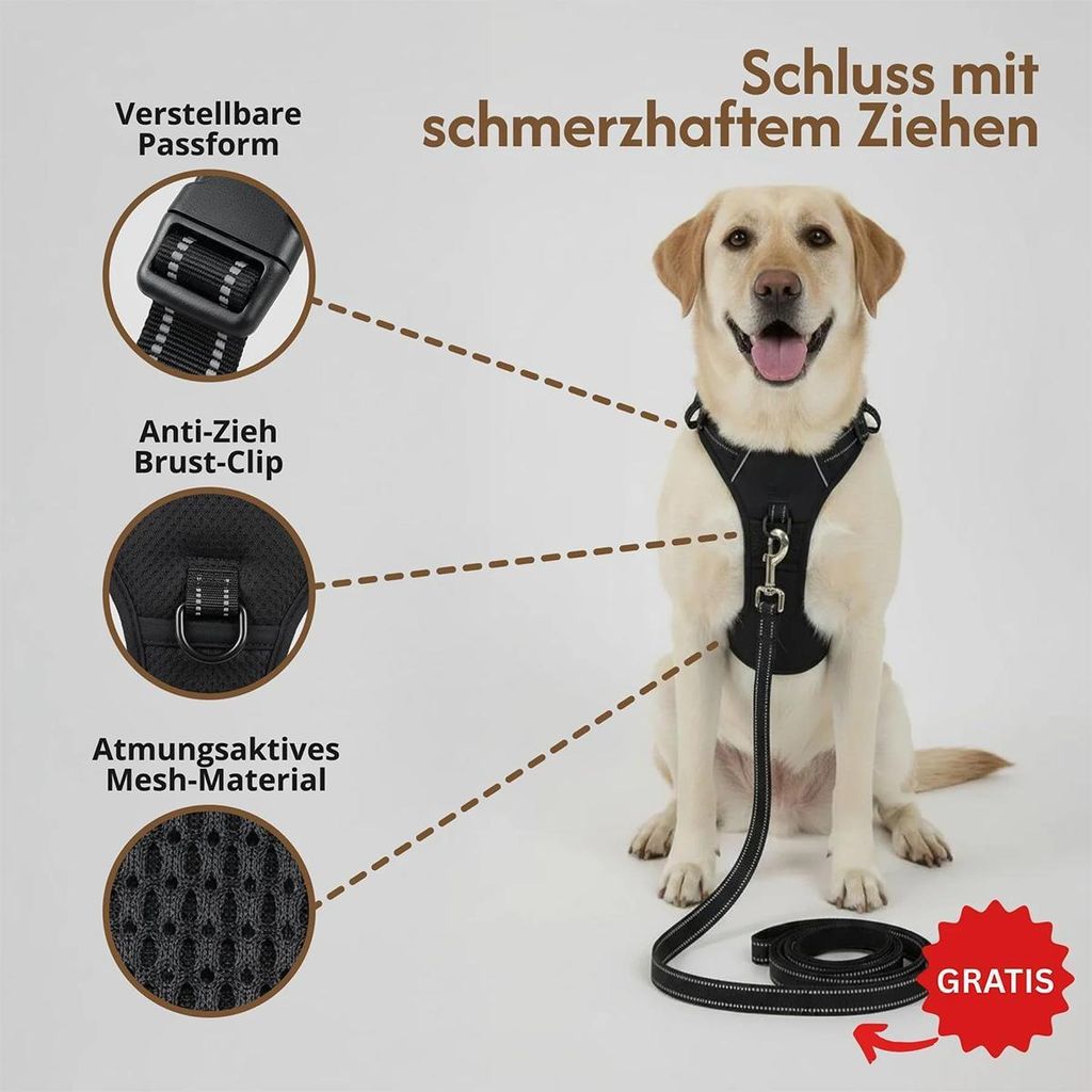 hundebett lederoptik Orthopädisches Hundebett – Lederoptik – Cognac main image 1