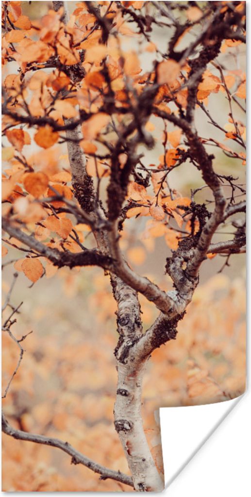 MuchoWow Poster Herbst - Äste - Blätter 40x80 cm - Dekoration