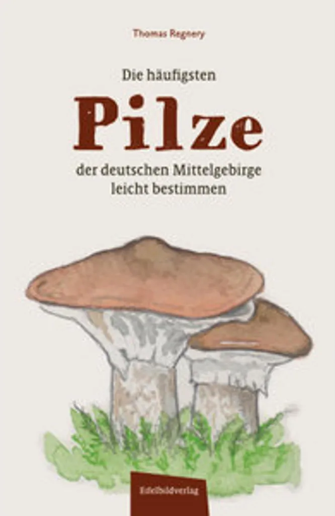 Comment Identifier les Champignons en Allemagne ? Guide Complet Facile