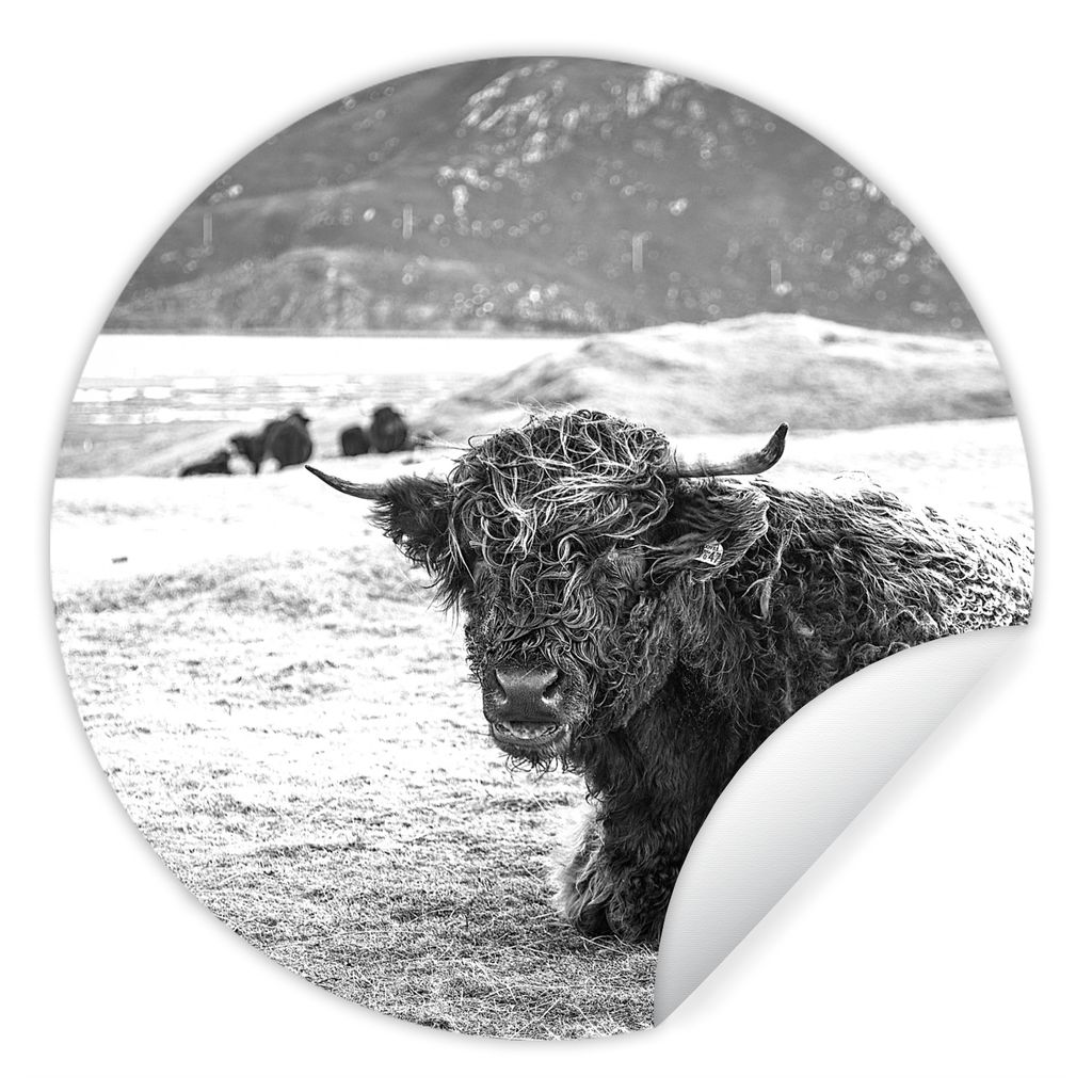MuchoWow Runde Wandtattoo - Wandsticker Tapete Aufkleber Schottischer Highlander - Berg - Tiere Ø 100 cm Selbstklebend und Repositionierbar - Wa...