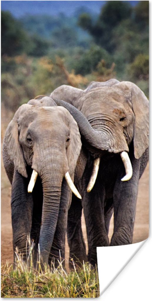 MuchoWow Poster Elefantenfreunde 60x120 cm - Wandschmuck