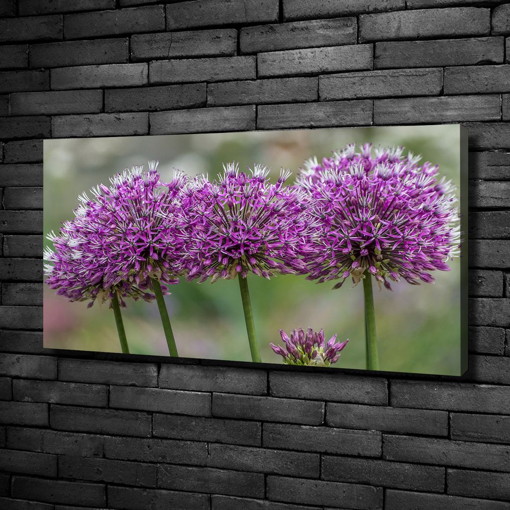 Tulup Leinwandbild -100x50 cm - Wandkunst - Drucke auf Leinwand - Leinwanddruck - Blumen & Pflanzen - Lila - Knoblauch Blume