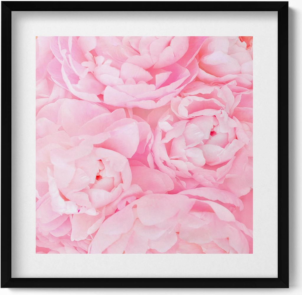 Blühende Blumen– Wandbild mit Rahmen – Gerahmtes Bild – Wanddekoration – 50x50 cm – Schwarz Rahmen